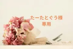 たーたとぐう様 リクエスト 2点 まとめ商品