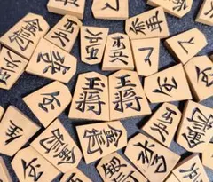 薩摩黄楊 極上孔雀杢(三玉) skkb 駒木地 将棋駒 - メルカリ