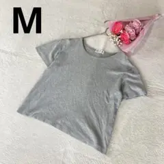 コットン100 Tシャツ 無地 グレー M シンプル カジュアル