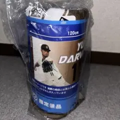 Item thumbnail for item 882b5924-5255-4eca-bee8-92f803317368