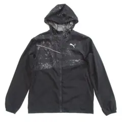 Item thumbnail for item 511c0c2a-2d12-4325-9253-68c4fd8b75ff