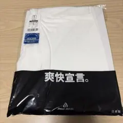 アングルミユキ ズボン下