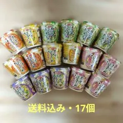【送料込み★17点】春雨スープまとめ売りのサムネイル