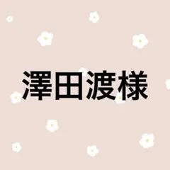 澤田渡様 リクエスト 2点 まとめ商品