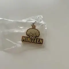 MINITEEN セブチ ぷっくりめじるしアクセサリー ドギョム