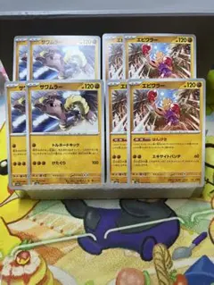 151  サワムラー　エビワラー　セット　　957