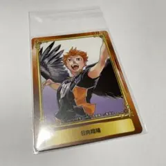 ハイキュー 日向翔陽 ジャンプフェア2020 アニメイト 特典 カード