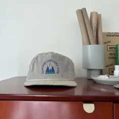 90s トラッカーキャップ ヴィンテージ USA製　コーデュロイ BT08