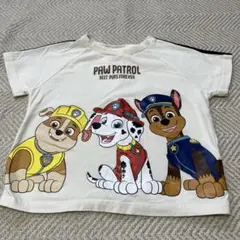 PAW PATROL Tシャツ クリーム色