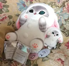 メイファン(花梅)ちゃん なが耳うさぎ 垂れ耳うさぎ ロップイヤー