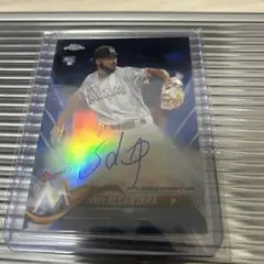 2026年最新】アルカンタラ サインの人気アイテム - メルカリ