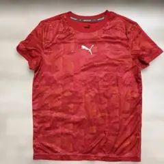 PUMA メッシュパターン Tシャツ 150サイズ レッド系