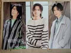 第5期WANDS会報誌　クリアファイル他　まとめ売り 第5期WANDS会報誌 クリアファイル他 まとめ売り 2025年最新