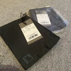 Item thumbnail for item 40ba34ca-8680-4bb9-9e24-7f1f68fe1821