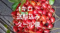 岩手県産　無農薬ナツグミ　1キロのサムネイル