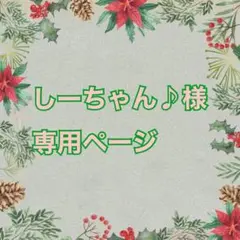 しーちゃん♪様専用ページ　美容液