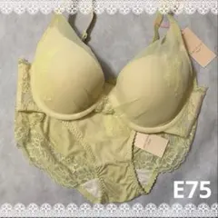 Item thumbnail for item 018e7bf2-f264-4031-ac3e-4ba62e8057d7