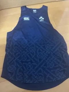 Item thumbnail for item d4c0a34a-dc74-4c45-b344-48f5754834c6