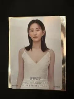 前田敦子　AKB48 　武道館入場特典