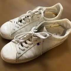 Item thumbnail for item 72bb6f4c-4a30-423d-b254-243e5512af99