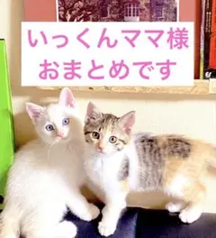 いっくんママ様 リクエスト 2点 まとめ商品