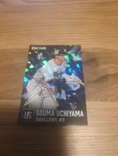 [金箔サイン] 内山壮真 スワローズ STAR CARD