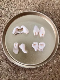 Item thumbnail for item 3aa328e1-c827-463b-a4ea-c159c538fcc7