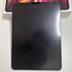 iPad Pro 11インチ (第3世代)スペースグレー