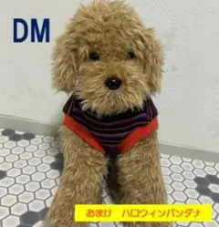 【Jii♡wan】ハンドメイド　ハロウィンカラー　タンクトップ／DM