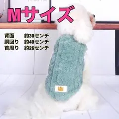 Item thumbnail for item cba1a86b-f8a4-4d44-9dc5-9fe60227c6b1