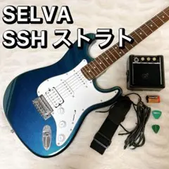 2026年最新】selva ギターの人気アイテム - メルカリ
