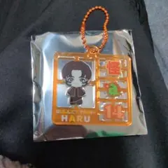 超特急 REAL? Random プラモ風キーホルダー ハル