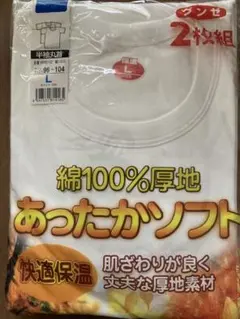 綿100%厚地 あったかソフト Tシャツ 2枚組 L