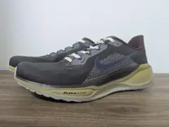 ナイキ ペガサス 41 PRM 26.5cm