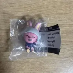 SKZOO サウナフィギュア　DWAEKKI トゥエッキ