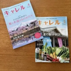 CARREL キャレル 2025年4月号 新潟情報誌 - メルカリ