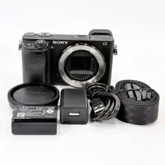 2026年最新】sonyα6400の人気アイテム - メルカリ