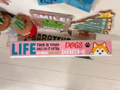 Item thumbnail for item f232491a-a9f2-476a-93c3-1efec84050b3