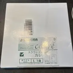 Item thumbnail for item 7c5be919-d3d3-420a-bba1-9d7e618f1f60