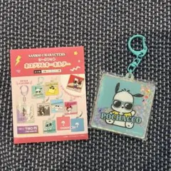 【送料込】ポチャッコキーホルダー