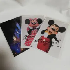 レア　希少　3枚セット　東京ディズニーランド　実写　ポストカード　ブロマイド