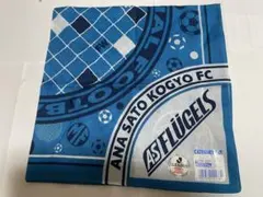 激レア！横浜フリューゲルス山口素弘選手ジャージ上のみ新品未使用プーマ Jリーグカード 横浜フリューゲルス 山口