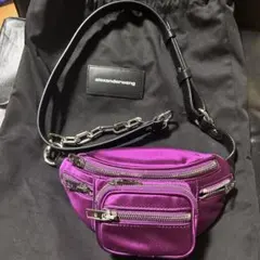 2026年最新】Alexander Wang レディース ボディバッグ・ウエストポーチ