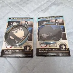 鬼滅の刃推し隊士バッジコレクション時透無一郎2個セット