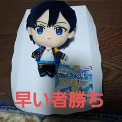 あんさんぶるスターズ!! ぬいぐるみ氷鷹北斗 - メルカリ