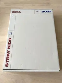 STRAY KIDS 2021 シーグリ