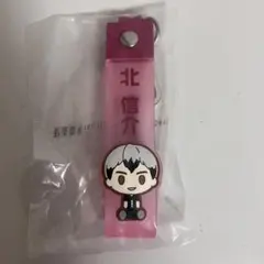 ハイキュー　北信介　ぽこっとちゃーむ