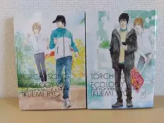 TORCH SONG ECOLOGY 2・3巻セット いくえみ綾　 古本