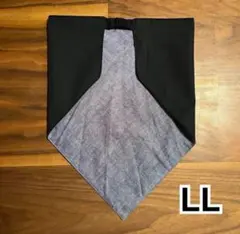 Item thumbnail for item bc31103a-aeba-4c6b-9512-b3f420013e0a