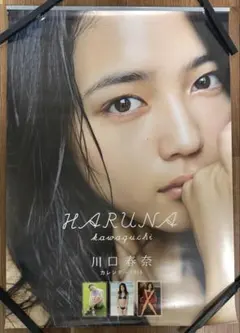 川口春奈カレンダー 2015 直筆サイン入り！ - メルカリ